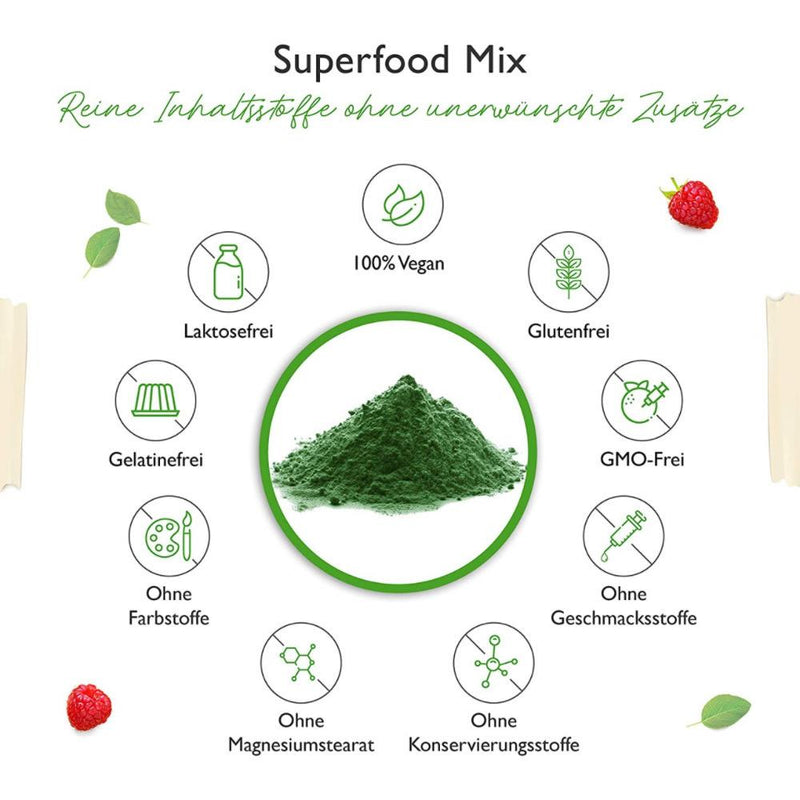 Load image into Gallery viewer, Superfood Mix Powder 420 gm - Vit4ever SUPERFOOD MIX Powder 420 gm
